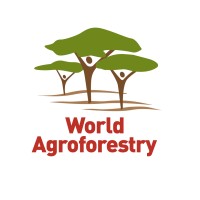 Jobs at World Agroforestry Centre (ICRAF)