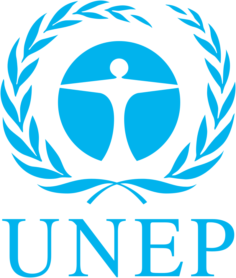 Current Opportunities at United Nations Environment Programme (UNEP)