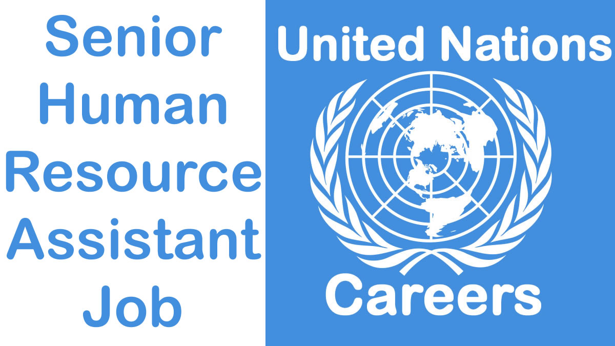 Senior Human Resource Assistant Job at UNHabitat, UN Jobs September 2024