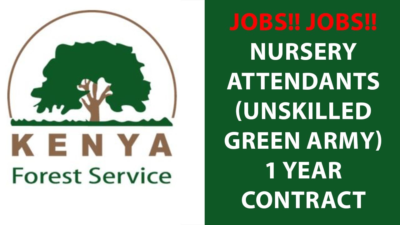 4000 Jobs at Kenya Forest Service Nursery Attendants Unskilled